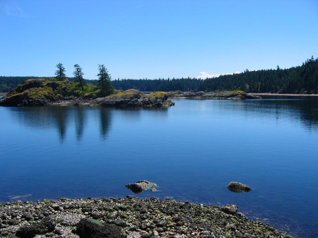 Gowlland Harbour Resort Heriot Bay Bilik gambar